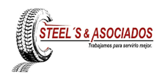 Logo Steel's & Asociados